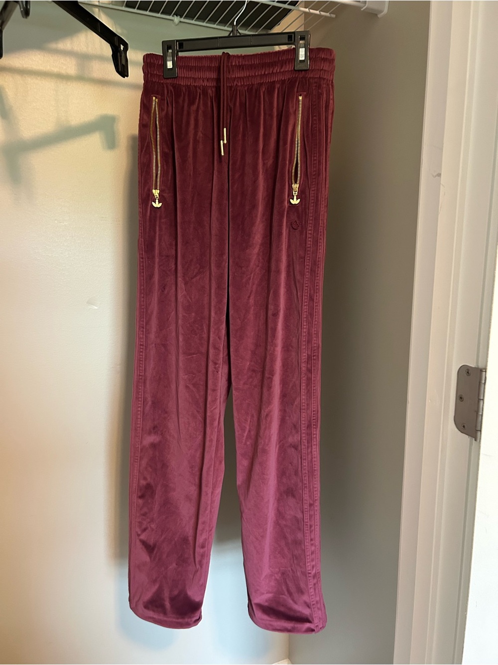 Urban Outfitters Bundle-Velour Track Pants with Gold Zip Accents - Wine